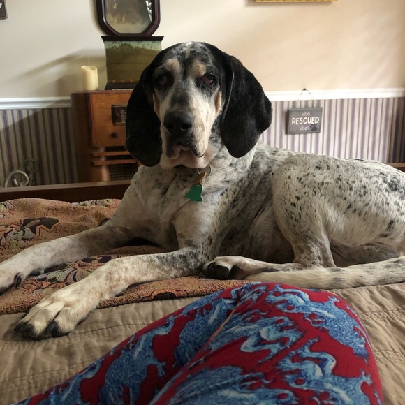 Meet your Posher, Tracey - Picture 3 of 14